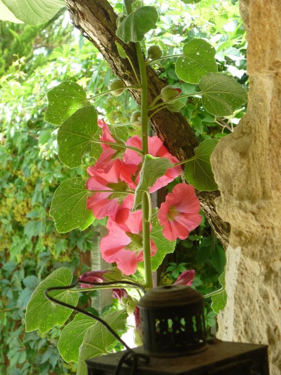 Beausejour Saint-Cyprien (Dordogne)